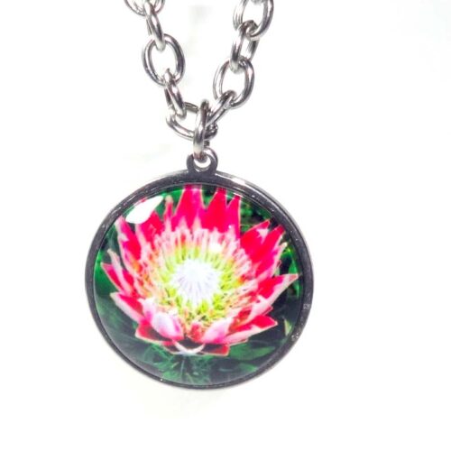 Protea Domed Glass Cabochon