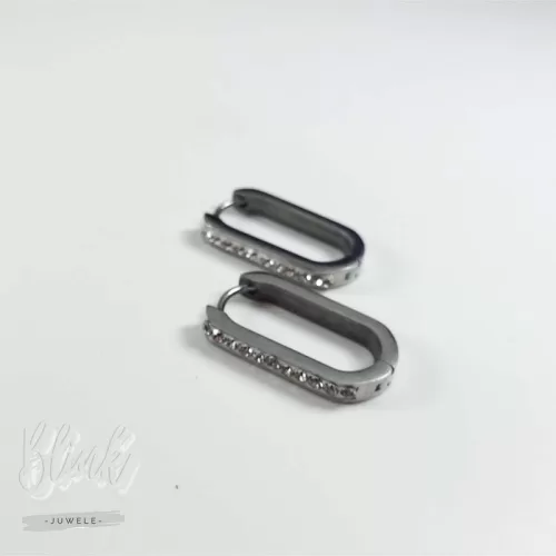 Oval Crystal Earrings