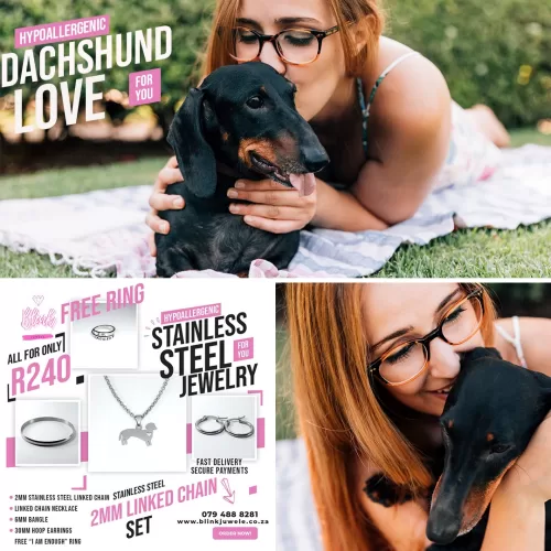 Dachshund Set