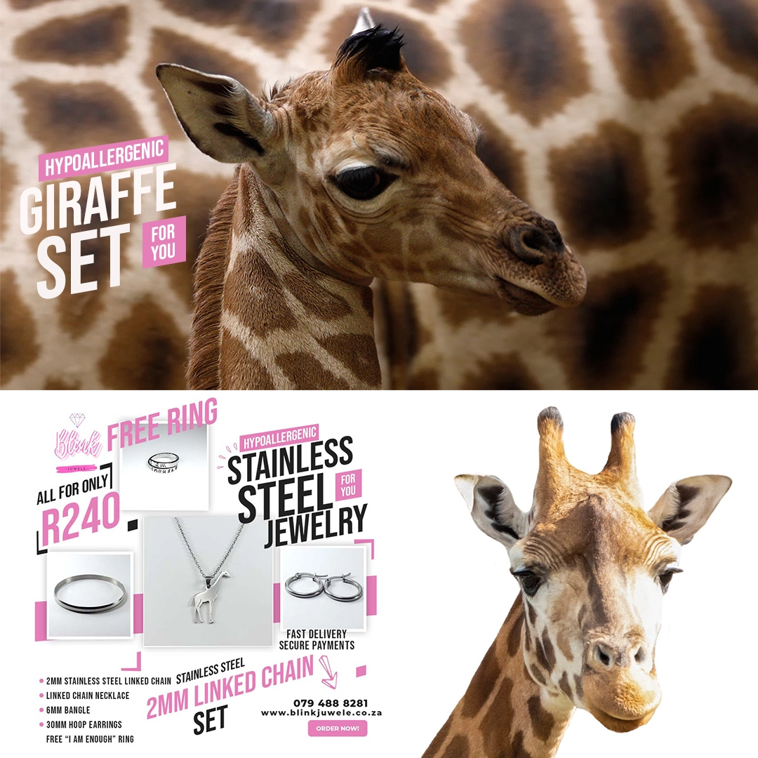 Giraffe Set Stainless Steel Jewelry Pretoria Giraffe Set