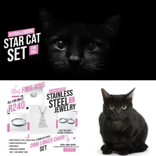 Star Cat Set