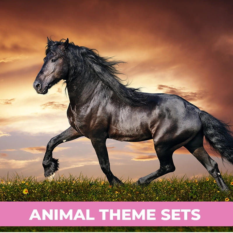 Animal Theme Sets